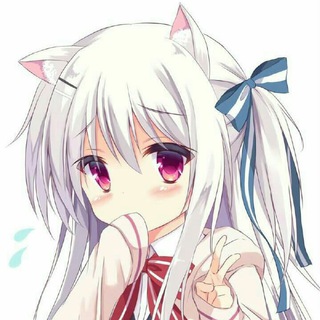 Telegram: view @lynote